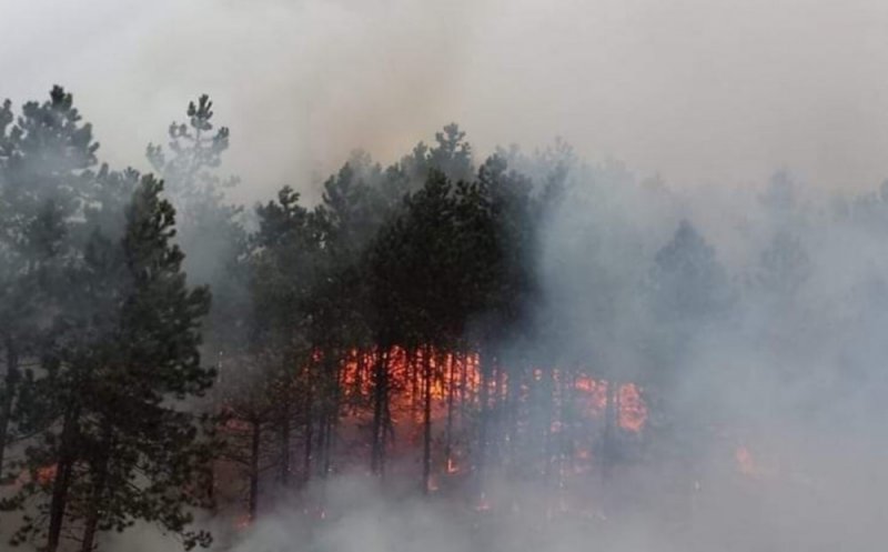 Incendiu în Făget. Se vede din Florești