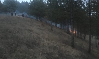 Incendiu în Făget. Se vede din Florești