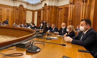 Şedinţe comune online la Parlament pentru întocmirea raportului pe solicitarea privind starea de urgenţă