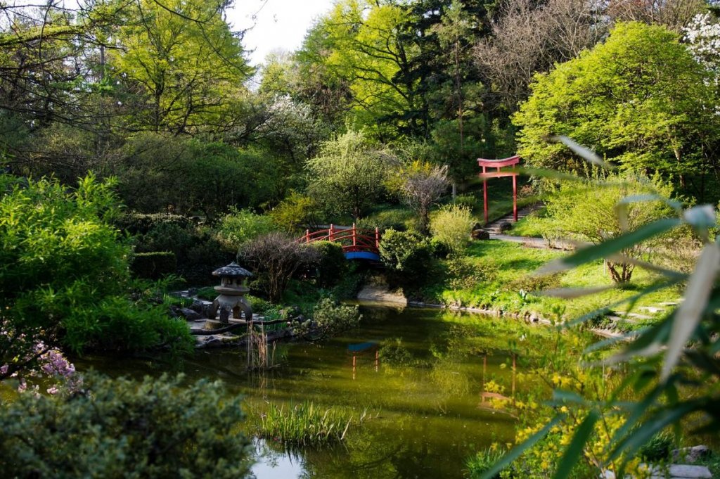 Parcul Babeș și Grădina Botanică au fost închise pentru public