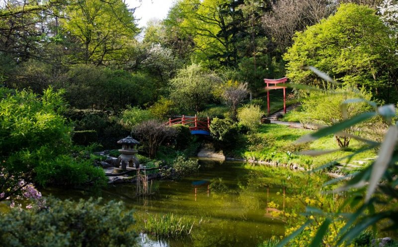 Parcul Babeș și Grădina Botanică au fost închise pentru public