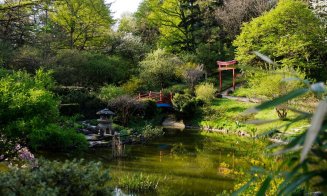 Parcul Babeș și Grădina Botanică au fost închise pentru public