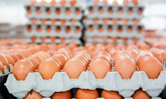 Vânzările de ouă, în scădere cu 30 % în perioada Sărbătorilor Pascale