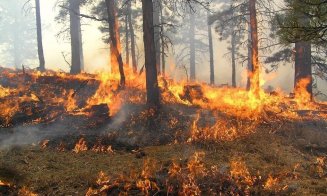 Incendiile de la Cernobîl, risc pentru Europa. România, pe lista zonelor vulnerabile