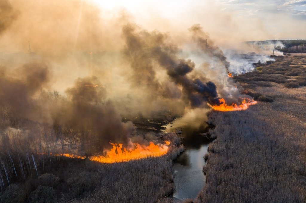 Incendiul de lângă Cernobîl. Încotro se îndreaptă norul toxic