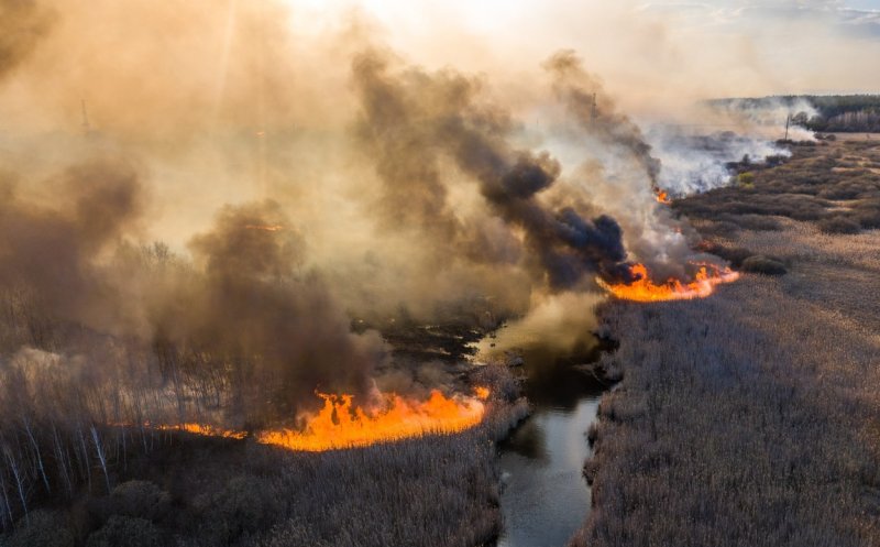 Incendiul de lângă Cernobîl. Încotro se îndreaptă norul toxic