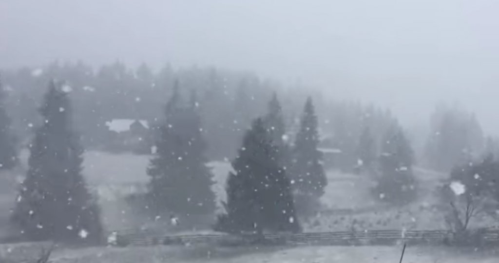 Vremea a luat-o razna la Cluj! La munte ninge și s-a depus zăpadă, Cluj-Napoca sub cod galben de vânt