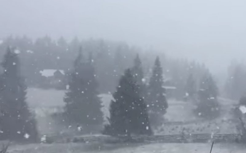 Vremea a luat-o razna la Cluj! La munte ninge și s-a depus zăpadă, Cluj-Napoca sub cod galben de vânt