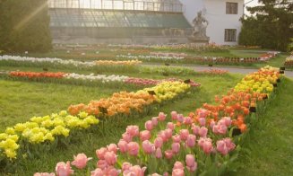 Feerie în Grădina Botanică din Cluj