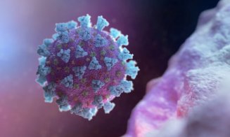 Sunt periculoase mutaţiile genetice ale coronavirusului? Au fost descoperite aproape 200