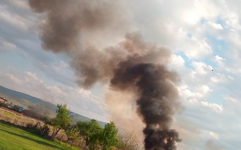 S-a înnegrit cerul în Someșeni! Incendiu pe cinci hectare
