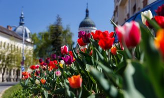 FOTO Cum arată primăvara la Cluj anul acesta