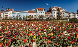 FOTO Cum arată primăvara la Cluj