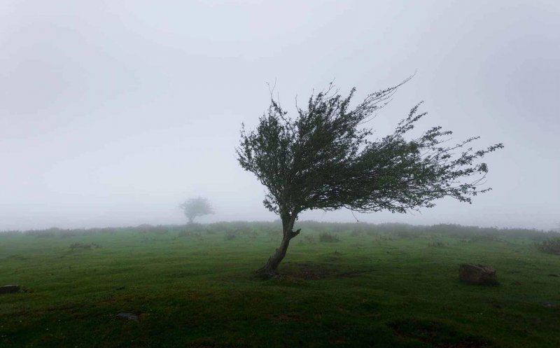 Cod galben de vânt şi instabilitate atmosferică la Cluj