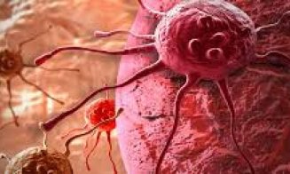 O genă ce permite cancerului să se răspândească în corp ar putea ajuta la tratarea afecţiunilor inimii