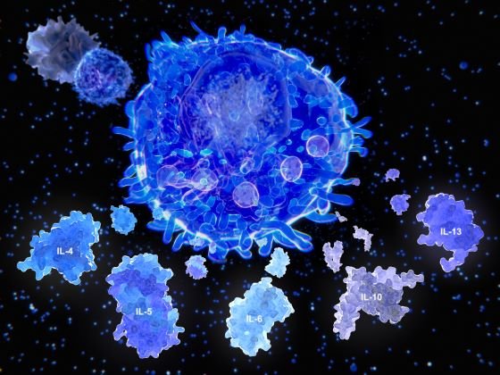 "Furtuna imunologică": sistemul imunitar al pacientului COVID-19 poate distruge organele vitale
