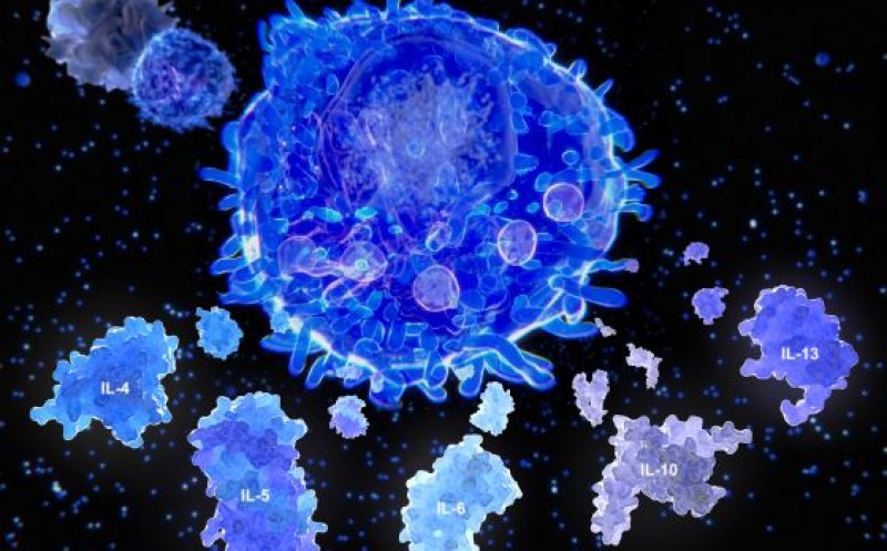 "Furtuna imunologică": sistemul imunitar al pacientului COVID-19 poate distruge organele vitale