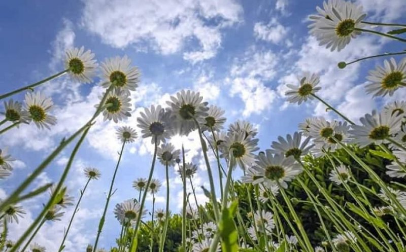 Prognoza până la jumătatea lunii iunie. De la temperaturi de iarnă, la vreme bună de plajă