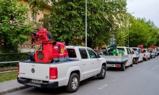 Acțiune de dezinsecție pe domeniul public și privat în Cluj-Napoca