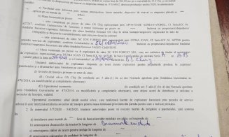 A fi sau a nu fi? Un clujean spune că a asistat la un furt de lemne cu complicitate, în Făget