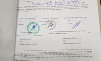 A fi sau a nu fi? Un clujean spune că a asistat la un furt de lemne cu complicitate, în Făget