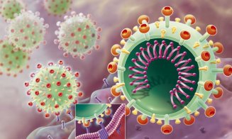 Cât timp rezistă virusul SARS-CoV-2 în corpul pacienților decedați?
