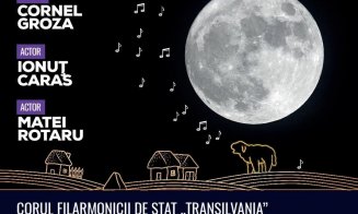 Concert al Filarmonicii Transilvania, în aer liber, în Parcul Etnografic