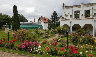 Sezonul trandafirilor în Botanica din Cluj