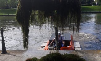 Curățenie pe Someș și lacurile din Gheorgheni. S-au scos zeci de tone de vegetație