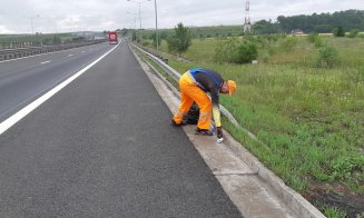 Cum se face curățenie pe autostrăzile Clujului