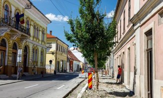 S-au plantat primii arbori pe strada Napoca. Urmează Piaţa Blaga, Petru Maior, Emil Isac