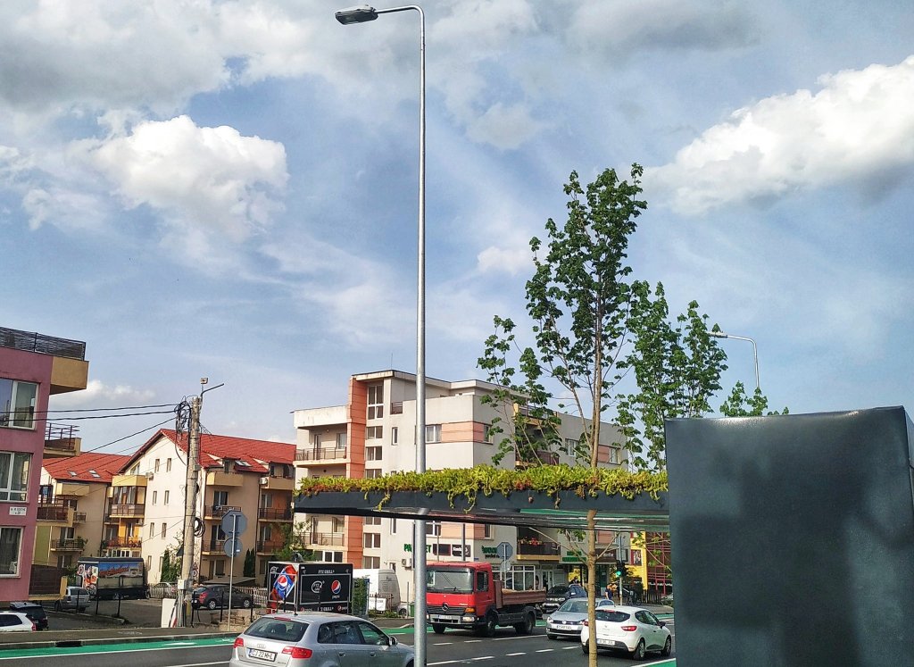 “Acoperișurile verzi se văd acum și la Cluj, nu numai în filmele americane”