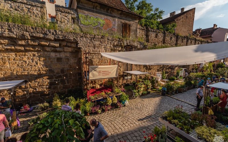 Cum a înflorit o stradă din Cluj-Napoca, în plină pandemie COVID