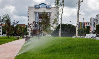 Cartierul Mărăşti, beneficiar al investiţiilor în spaţiile verzi ale oraşului