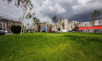 Aleea Bibliotecii: un nou spațiu verde în cartierul Mărăști