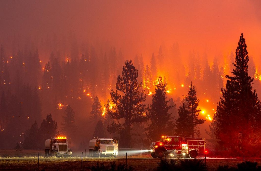 Incendiile de vegetaţie fac prăpăd în California