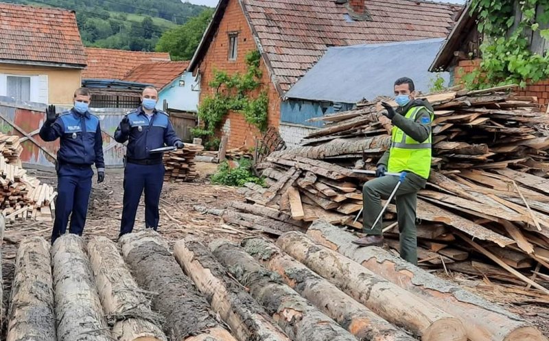 Dispar pădurile din Cluj. Aproape 100 de dosare penale pentru tăieri ilegale