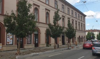 Măsuri suplimentare pentru protejarea rețelelor și arborilor pe Napoca