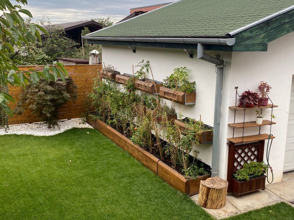 Cine sunt câştigătorii concursului ’’Clujul cu flori’’ 2020