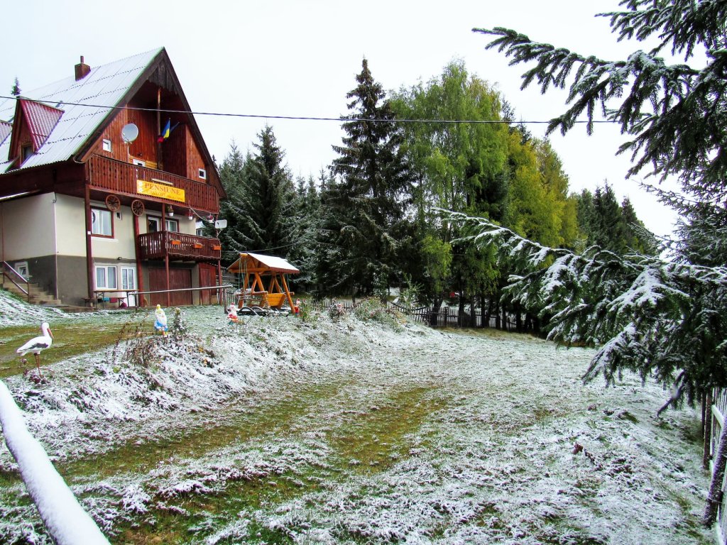 A nins la munte la Cluj