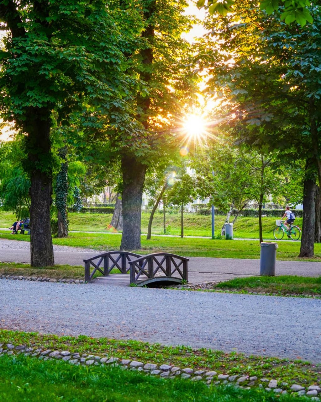 Parcul Central din Cluj, scos de pe lista spațiilor verzi. “Ne opunem noii legi”