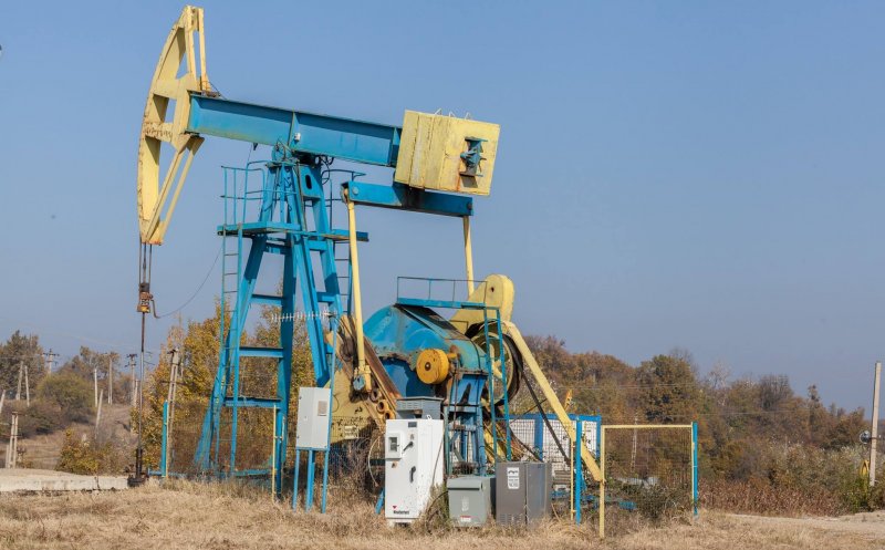 Care sunt cele mai profitabile companii din țară