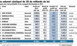 Care sunt cele mai profitabile companii din țară