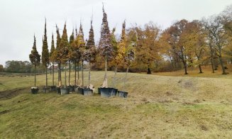 A început extinderea Parcului Hoia cu plantări de copaci. Urmează scenă scenă, promenadă, pârtie, zone de gimnastică şi picnic