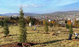 Extinderea Parcului Etnografic din Hoia prinde contur. S-a încheiat prima etapă de plantare