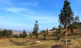 Extinderea Parcului Etnografic din Hoia prinde contur. S-a încheiat prima etapă de plantare