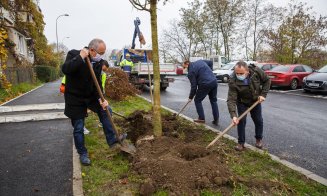 Au început plantările de arbori în cartierul Între lacuri
