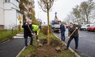Au început plantările de arbori în cartierul Între lacuri