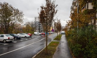 Au început plantările de arbori în cartierul Între lacuri