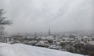 Au început plantările de arbori în cartierul Între lacuri